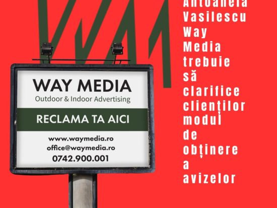 Radu Vasilescu și Way Advertise Production SRL – controversele steagurilor publicitare ilegale din București