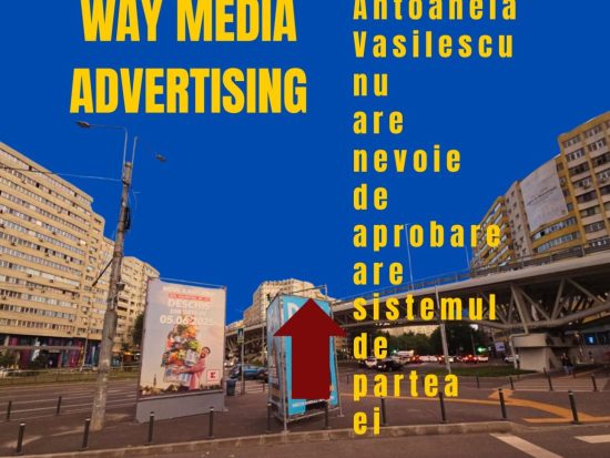 Way Advertise Production SRL: Antoanela Vasilescu și controversele din publicitatea outdoor fără avize legale